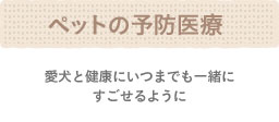 ペットの予防医療 - 愛犬と健康にいつまでも一緒にすごせるように